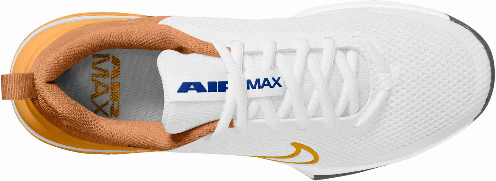 Air Max ALPHA TRAINER 6 Men's Sportswear Shoes