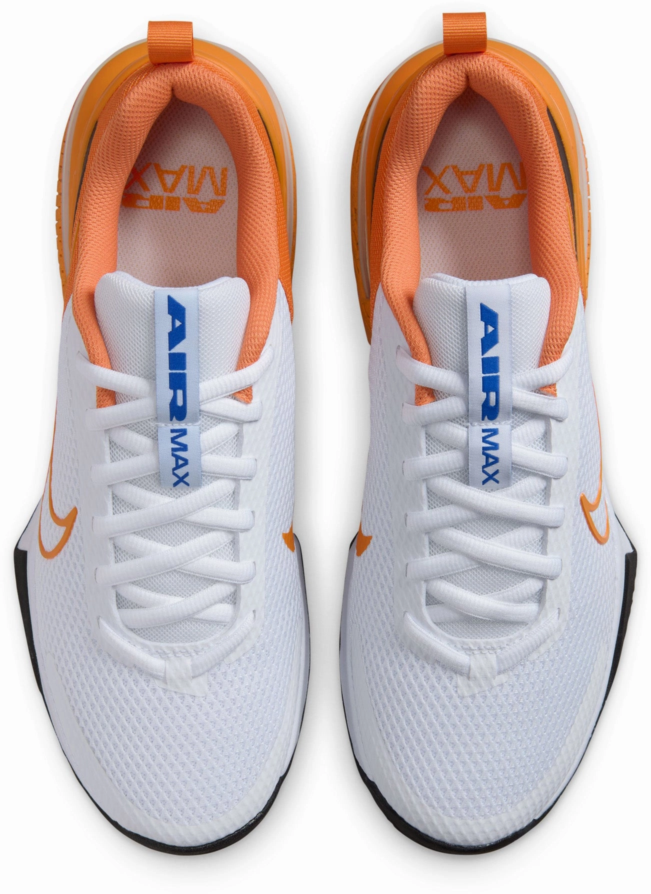 Air Max ALPHA TRAINER 6 Men's Sportswear Shoes