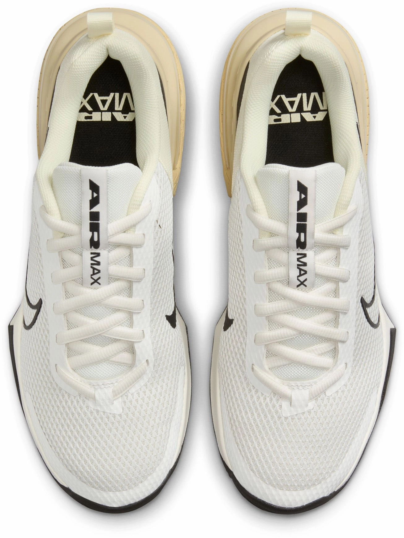 Air Max ALPHA TRAINER 6 Men's Sportswear Shoes