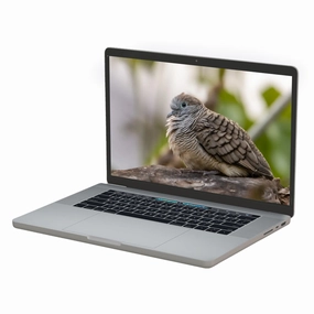 Apple MacBook Pro TouchBar 15" 2018 i7 16GB RAM 1TB