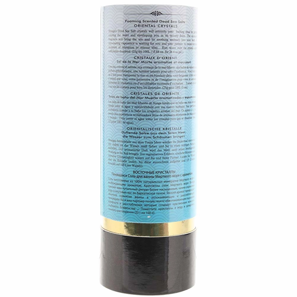 Foaming Dead Sea Salts 17.6oz in Ocean Temptations