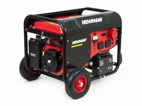 Newman Generator 6500W