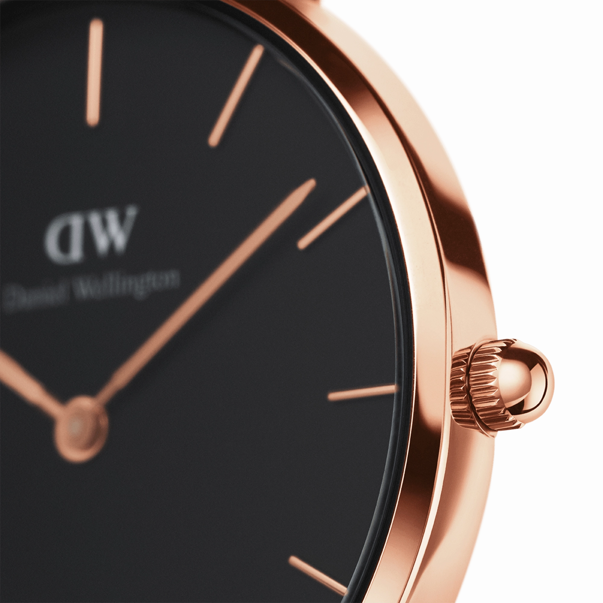 Petite Reading Rose Gold